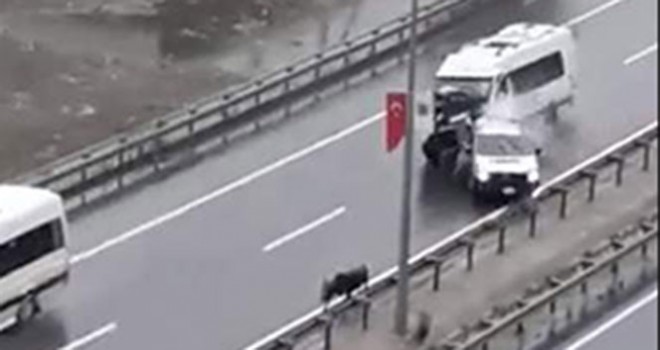 Kurbanlık boğa Trabzon'da kazaya neden oldu: 5 yaralı