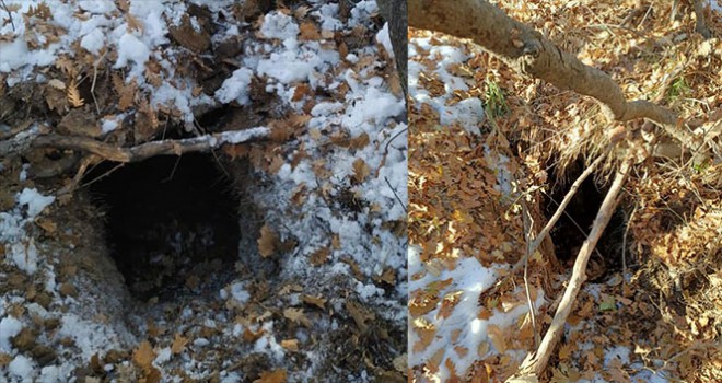 Tunceli'de 14 sığınak imha edildi