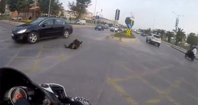 Otomobilin köpeğe çarparak metrelerce ileri fırlattığı kaza kamerada
