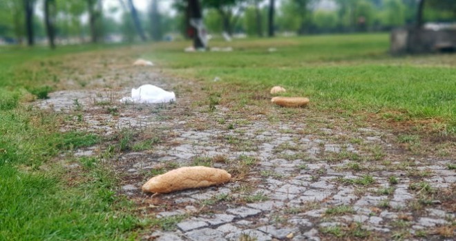 İstanbul'da iki sahilde vatandaşları şoka uğratan manzara