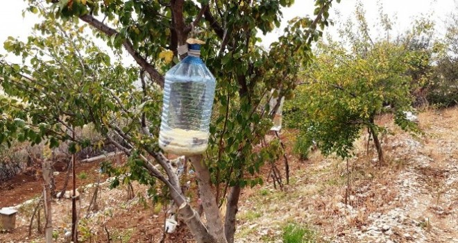 Doğada aç kalan hayvanlara yemlik