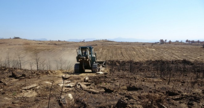 Manavgat'ta yanan ormanlık alanlar iş makineleri tarafından dikime hazırlanıyor