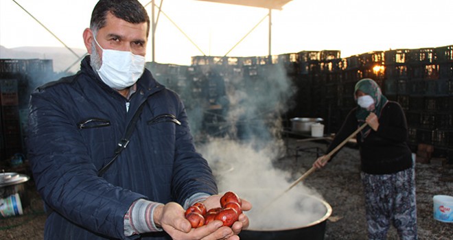 Rüyasında gördü, 600 ton üretti,