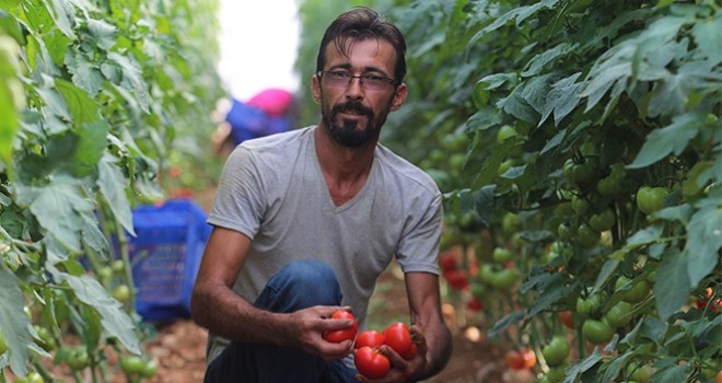  Antalya'da çiftçiye şok yaşatan ceza
