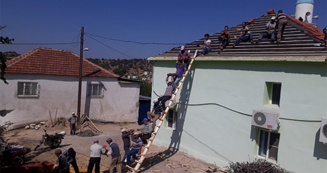 Karıncaları örnek alan köylüler sorunu yarım saatte çözdü