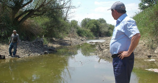 Sakarya Nehri kurumaya yüz tuttu