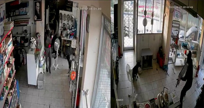 Üsküdar'da hırsızlar elektrikçiyi soydu, dükkan içerisindeki köpek ise olayı şaşkınlıkla izledi