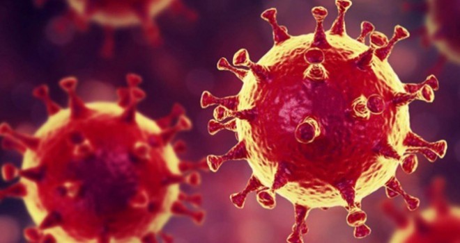 Türkiye'de son 24 saatte 20.049 koronavirüs vakası tespit edildi
