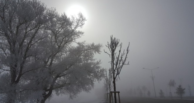 Doğu Anadolu'da soğuk hava: Ağrı eksi 12