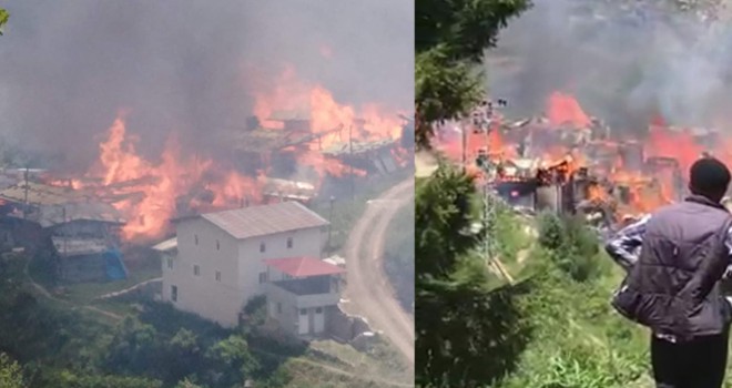 Artvin'de bir köy yandı! Evler küle döndü