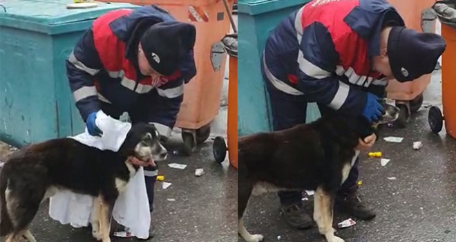  Temizlik işçisi yağmurdan ıslanan köpeği kuruladı, içleri ısıttı