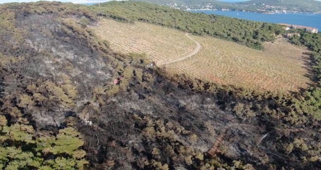 Heybeliada'da yangının bıraktığı hasar havadan görüntülendi