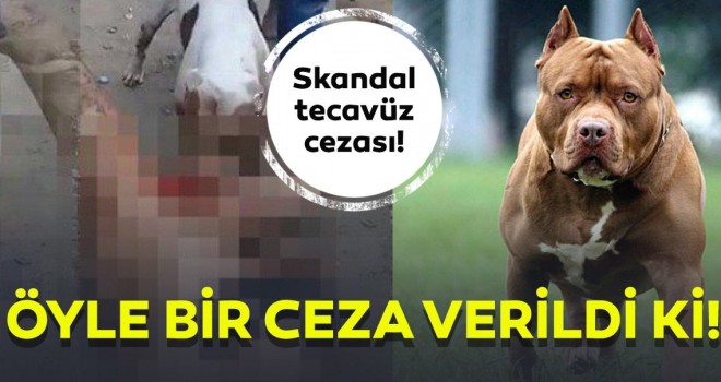  Meksika’da kan donduran tecavüz cezası! “Beni bırakın” diye yalvardı..