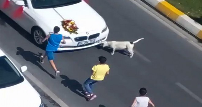 Çocukların tehlikeli bahşiş oyunu kamerada