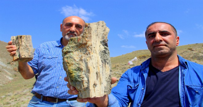 Erzurum'da 160 milyon yıllık keşif