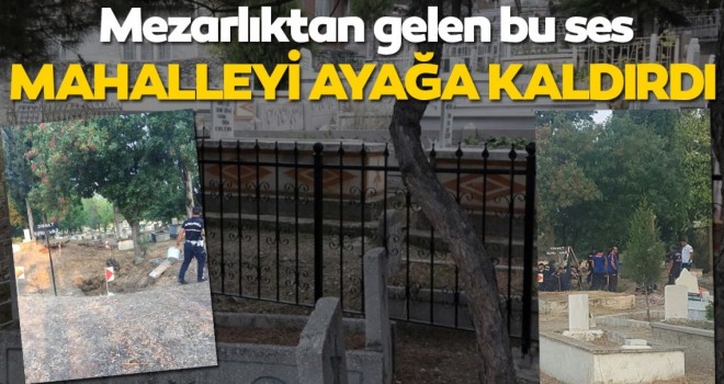  Mezarlıktan yükselen inleme sesleri Aydın'ı ayağa kaldırdı