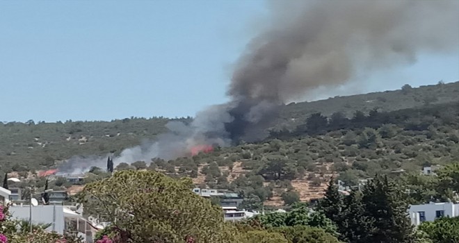 Bodrum'daki yangın kısa sürede büyüdü, mahallenin boşaltılması için anons yapılıyor