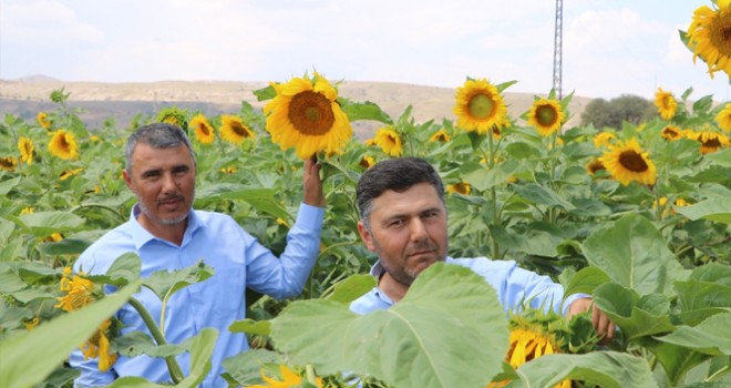 Çin Türkiye’yi çekirdek ile vurdu