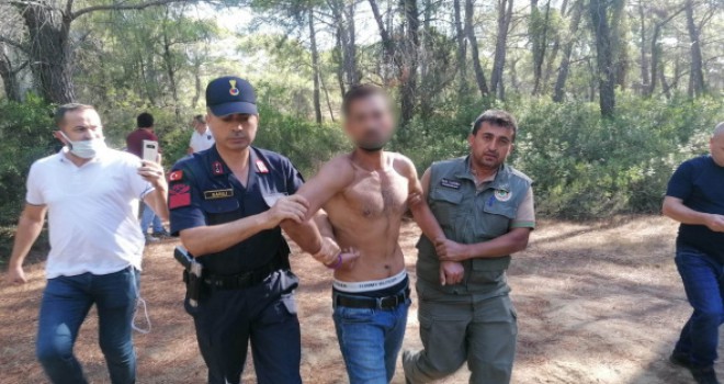 Manavgat'ta ormanı yakarken suçüstü yakalanan şüpheli suç makinesi çıktı