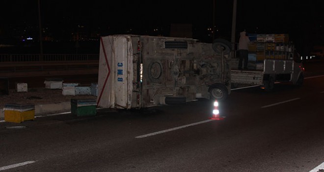 Arı kovanı yüklü kamyonet devrildi arılar etrafa saçıldı