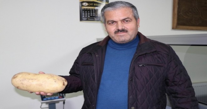 1 patates 1 kilo 700 gram gelir mi? İşte yanıtı