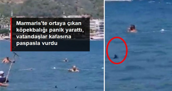 Marmaris'te aniden ortaya çıkan köpekbalığı panik yarattı