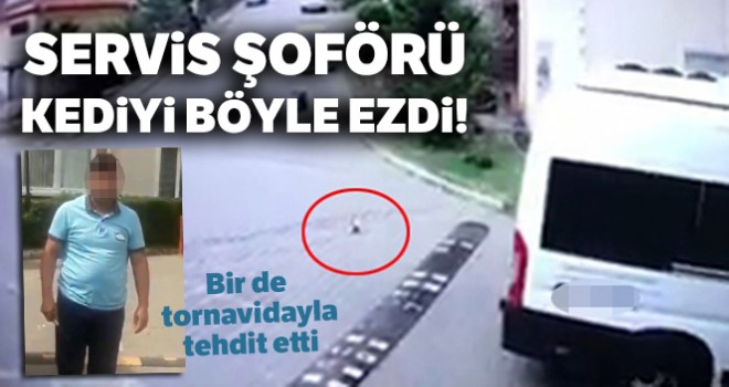  Servis şoförünün yavru kediyi ezme anı kamerada