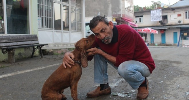 Selde kaybolan köpeği yüzerek geldi, sevince boğuldu