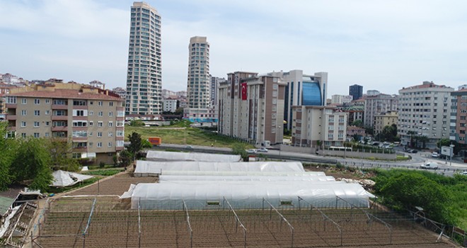 İstanbul'un göbeğinde, devasa binaların gölgesindeki seralar havadan görüntülendi