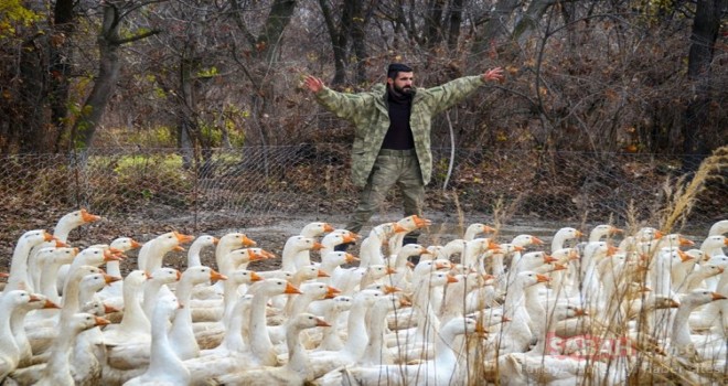  Aradığı işi bulamayınca kaz çiftliği kurdu!