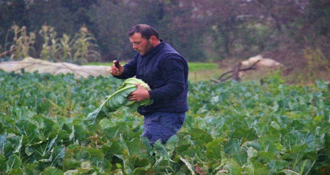 Dairelerini satıp bütün paralarını tarıma yatırdılar