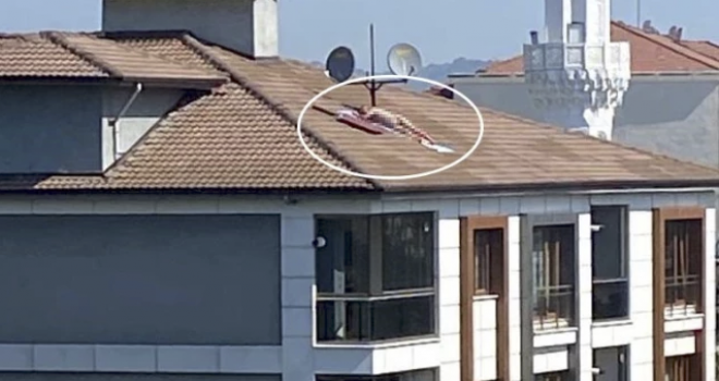 Çatıda çırılçıplak güneşlenen adam, binanın sahibi çıktı!