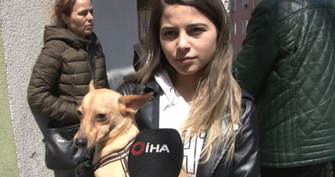 Kağıthane'deki evinden köpeğiyle 10 dakika önce çıkan genç kız o anları anlattı