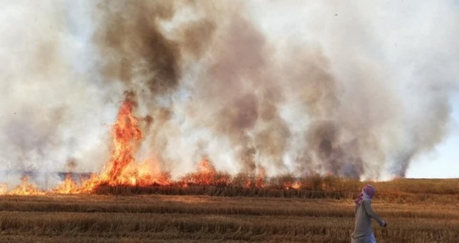 YPG/PKK Deyrizor'da sivillerin tarım arazilerini yaktı