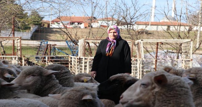 Ev hanımıydı devlet desteğiyle üretici oldu