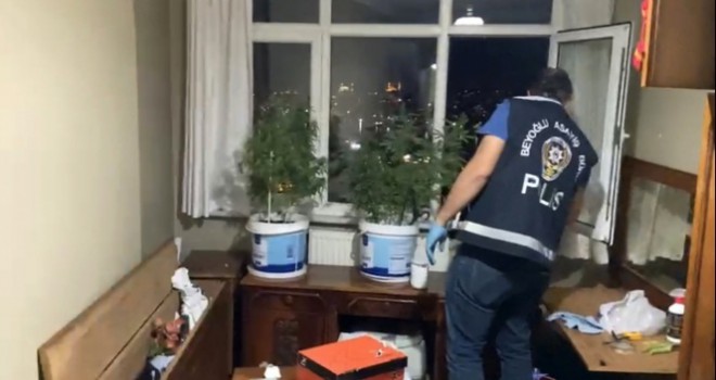 İstanbul'un göbeğindeki uyuşturucu serasına operasyon kamerada