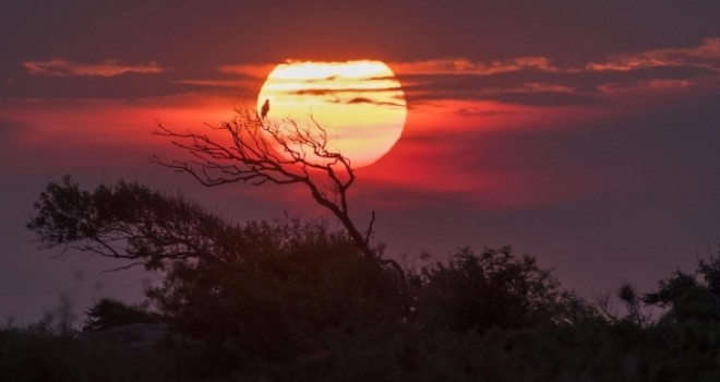 Longozdaki sonbahar göçü fotoğraflara böyle yansıdı