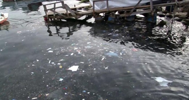 Sarıyer Sahili'ne balık tutmak için gelen vatandaşlar şoke oldu