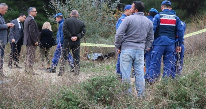 Vatandaş zeytin ağacının altında gördü! Hemen ihbarda bulundu