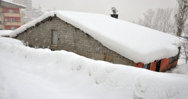  Yüksekova'da tek katlı evler kara gömüldü