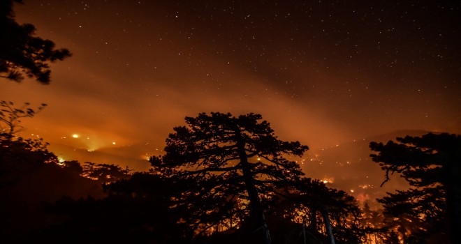 Muğla'da alevlerle mücadele gece boyu sürdü