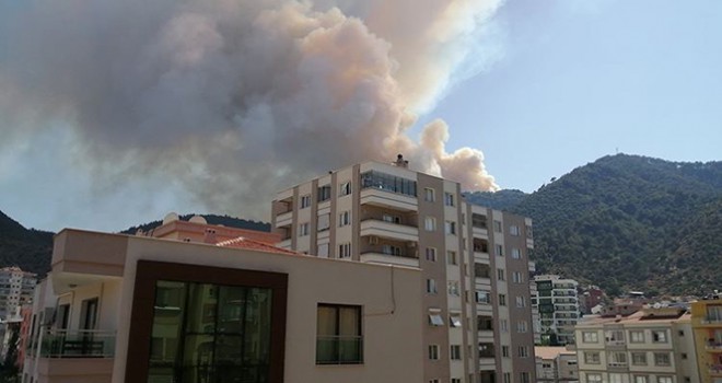 İzmir'in Balçova ilçesinde orman yangını!
