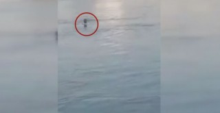 Kız çocuğu köprüden atlayıp kayboldu onlar fotoğraf çektirdi