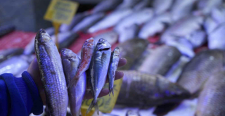 Sezonun son balıkları tezgahlarda