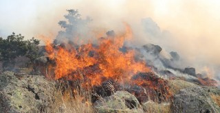 Hasan Dağı'nda ,orman yangını