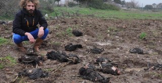 Korkunç! 'Geldiğimde gözlerime inanamadım'