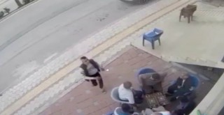 Hatay'da baltalı dehşet