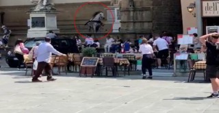 Kızgın at Floransa'nın ünlü meydanını birbirine kattı