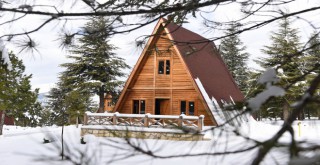 Yalnız Ardıç’ta Kartpostallık Görüntüler