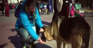 Tuzla sahilde iç ısıtan görüntüler